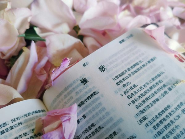 Unlock your reading adventure: translated chinese and korean novels